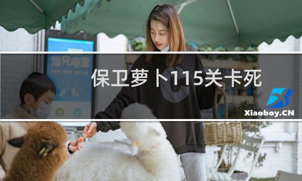 保卫萝卜115关卡死