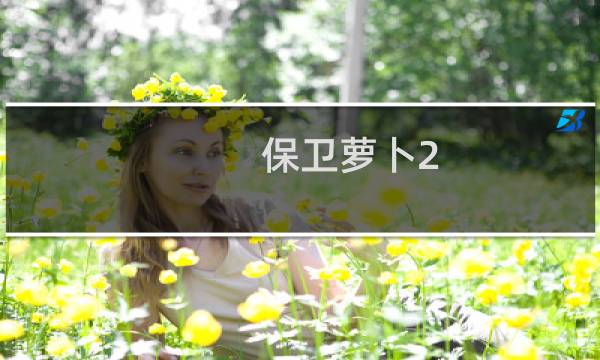保卫萝卜2 q关卡