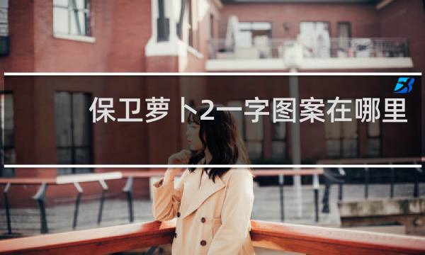 保卫萝卜2一字图案在哪里