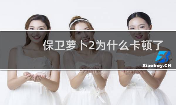 保卫萝卜2为什么卡顿了