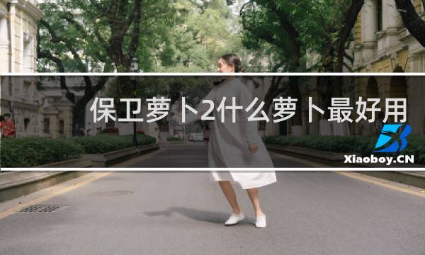 保卫萝卜2什么萝卜最好用