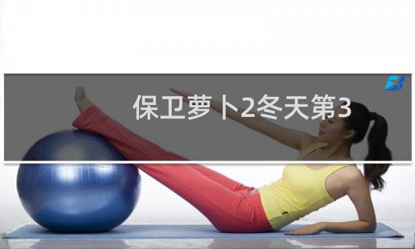 保卫萝卜2冬天第3