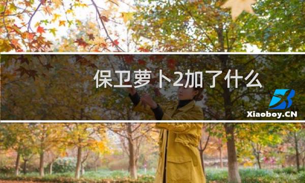 保卫萝卜2加了什么