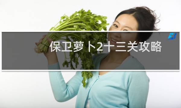保卫萝卜2十三关攻略