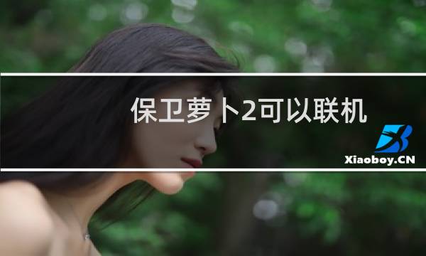 保卫萝卜2可以联机