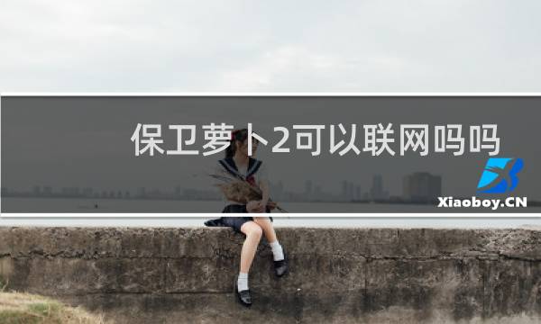 保卫萝卜2可以联网吗吗