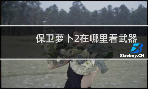 保卫萝卜2在哪里看武器