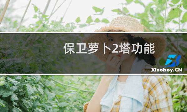 保卫萝卜2塔功能