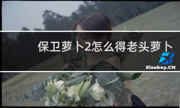 保卫萝卜2怎么得老头萝卜