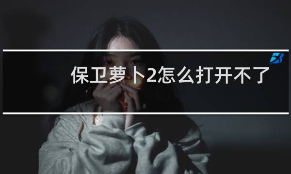 保卫萝卜2怎么打开不了