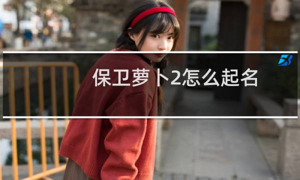 保卫萝卜2怎么起名
