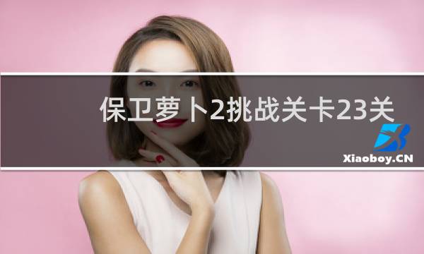 保卫萝卜2挑战关卡23关