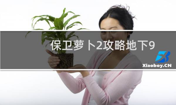 保卫萝卜2攻略地下9