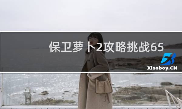 保卫萝卜2攻略挑战65