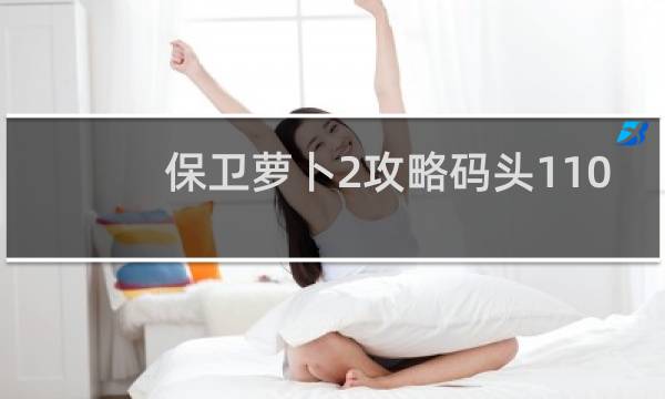 保卫萝卜2攻略码头110