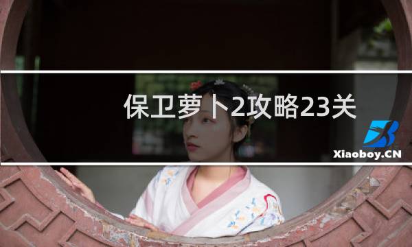 保卫萝卜2攻略23关