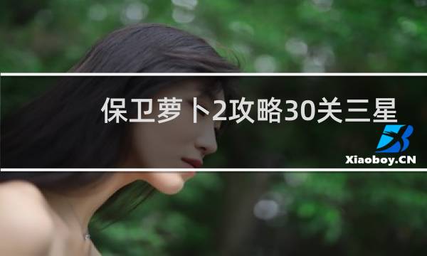 保卫萝卜2攻略30关三星