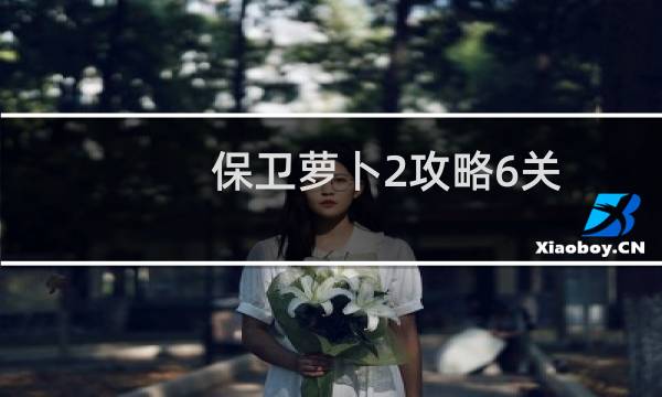 保卫萝卜2攻略6关