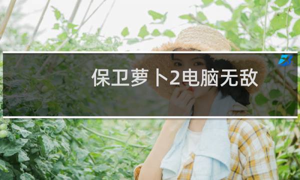 保卫萝卜2电脑无敌