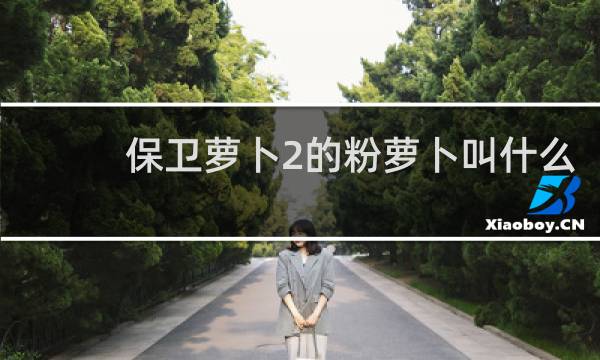 保卫萝卜2的粉萝卜叫什么