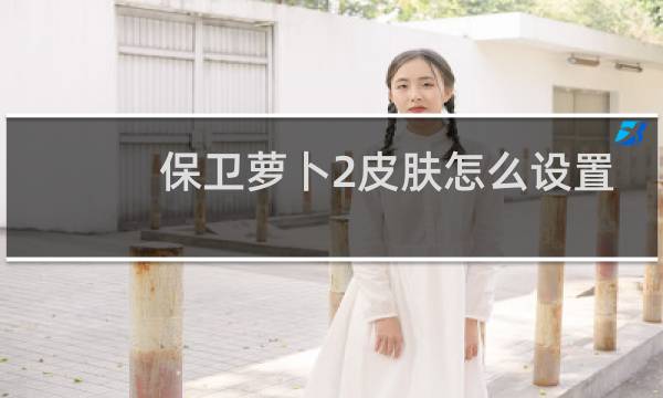 保卫萝卜2皮肤怎么设置