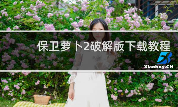 保卫萝卜2破解版下载教程