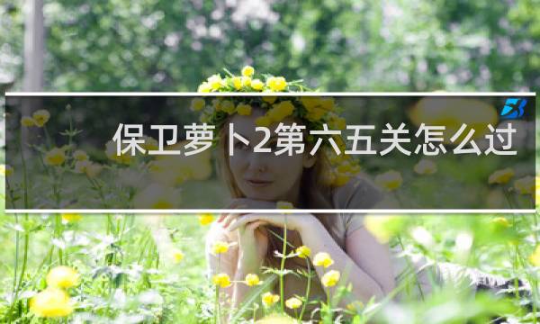 保卫萝卜2第六五关怎么过