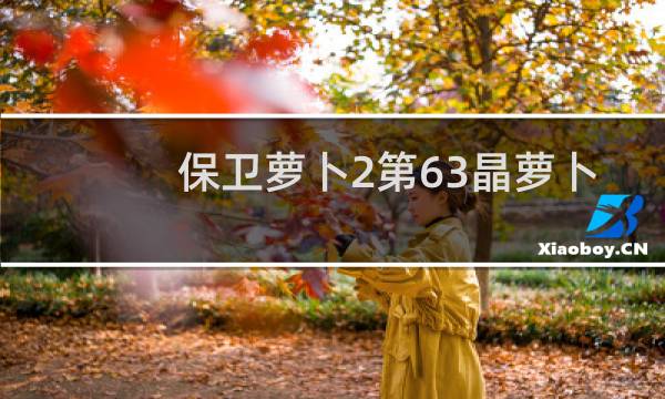保卫萝卜2第63晶萝卜