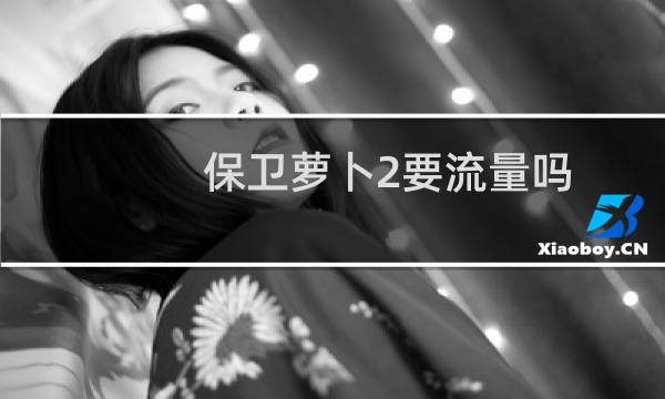 保卫萝卜2要流量吗