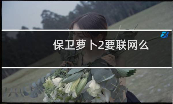 保卫萝卜2要联网么