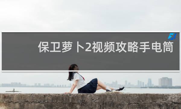 保卫萝卜2视频攻略手电筒