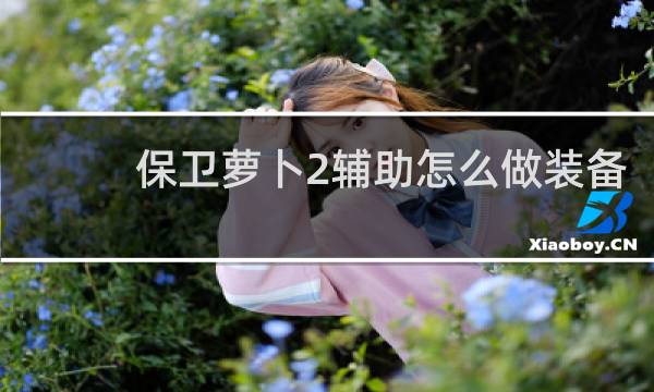 保卫萝卜2辅助怎么做装备