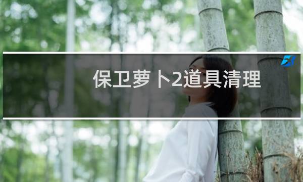 保卫萝卜2道具清理