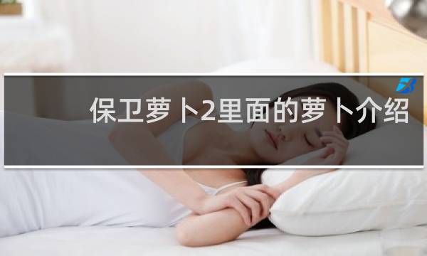 保卫萝卜2里面的萝卜介绍