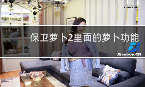 保卫萝卜2里面的萝卜功能