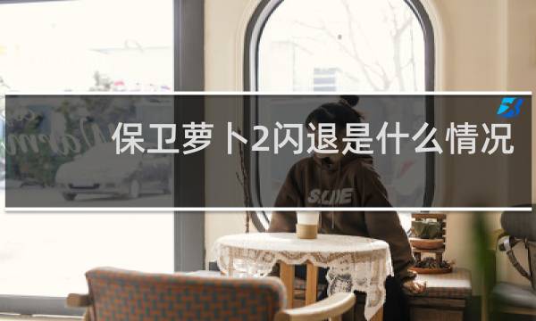 保卫萝卜2闪退是什么情况