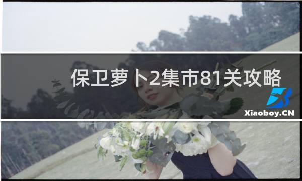 保卫萝卜2集市81关攻略