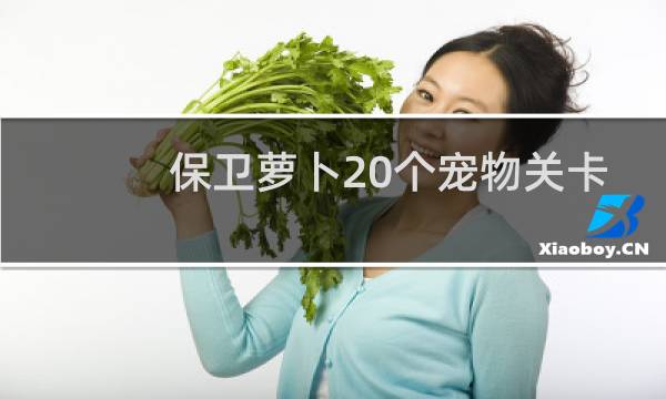 保卫萝卜20个宠物关卡