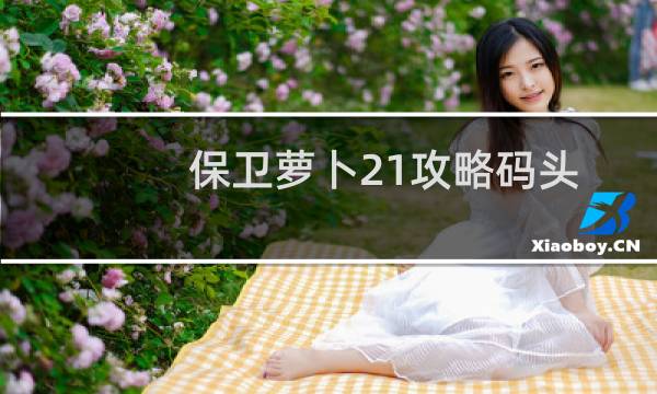 保卫萝卜21攻略码头