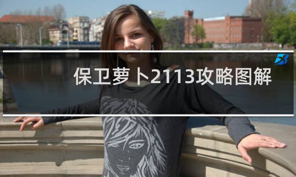 保卫萝卜2113攻略图解