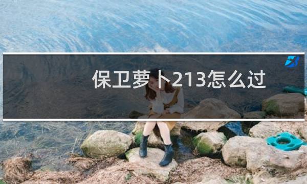 保卫萝卜213怎么过