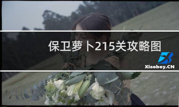 保卫萝卜215关攻略图