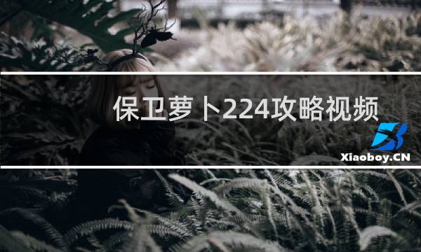 保卫萝卜224攻略视频