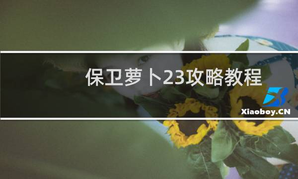 保卫萝卜23攻略教程