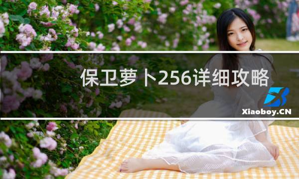 保卫萝卜256详细攻略