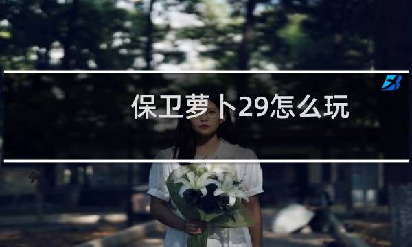 保卫萝卜29怎么玩