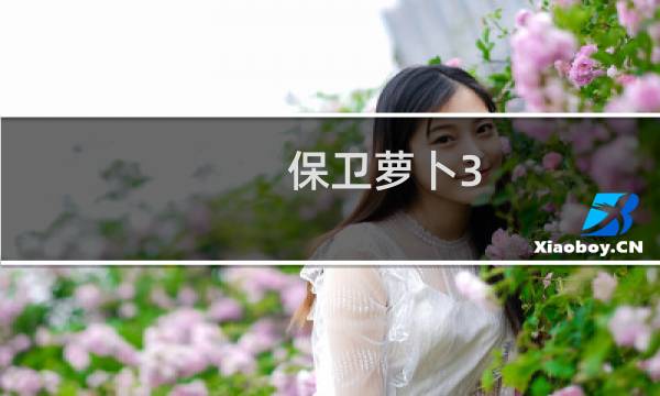 保卫萝卜3 公园模式40