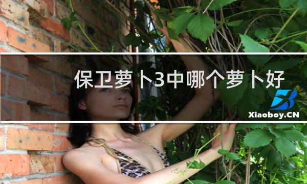 保卫萝卜3中哪个萝卜好