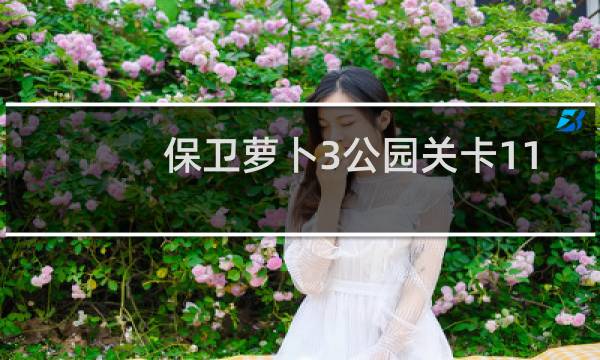 保卫萝卜3公园关卡11