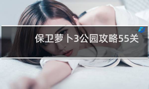 保卫萝卜3公园攻略55关